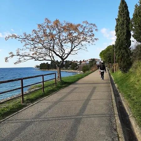 Erik&dani * 자다르